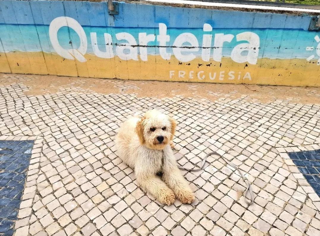 Studio Praia De Quarteira Exterior photo